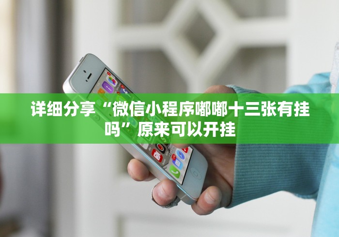 详细分享“微信小程序嘟嘟十三张有挂吗”原来可以开挂