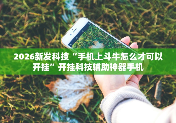 2026新发科技“手机上斗牛怎么才可以开挂”开挂科技辅助神器手机