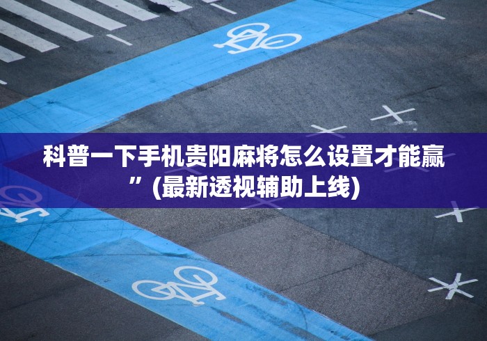 科普一下手机贵阳麻将怎么设置才能赢”(最新透视辅助上线)
