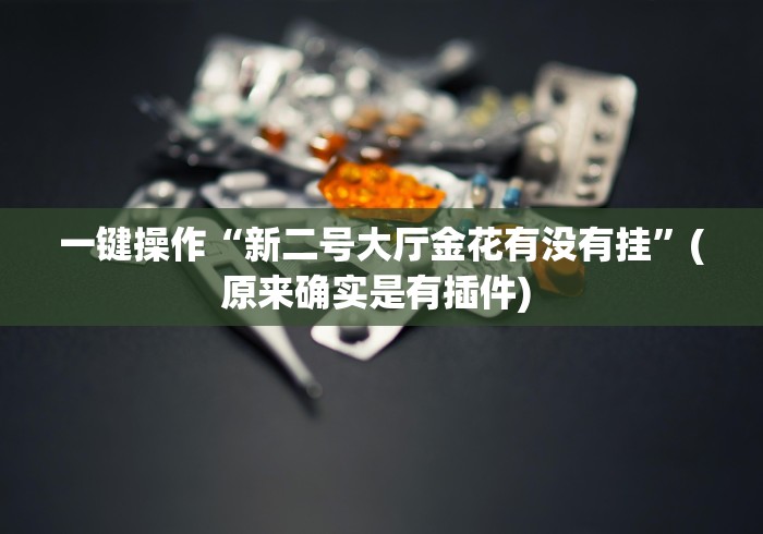 一键操作“新二号大厅金花有没有挂”(原来确实是有插件) 