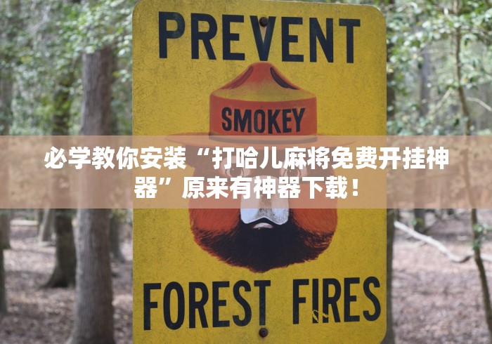 必学教你安装“打哈儿麻将免费开挂神器”原来有神器下载！