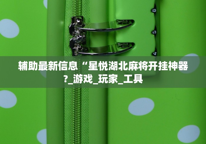 辅助最新信息“星悦湖北麻将开挂神器?_游戏_玩家_工具