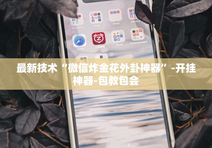 最新技术“微信炸金花外卦神器”-开挂神器-包教包会