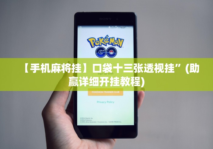 【手机麻将挂】口袋十三张透视挂”(助赢详细开挂教程)