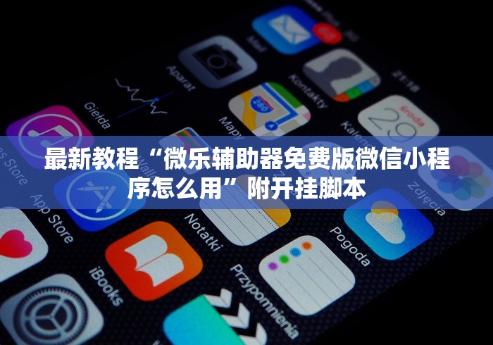 最新教程“微乐辅助器免费版微信小程序怎么用”附开挂脚本