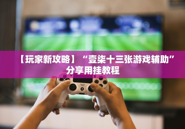 【玩家新攻略】“壹柒十三张游戏辅助”分享用挂教程
