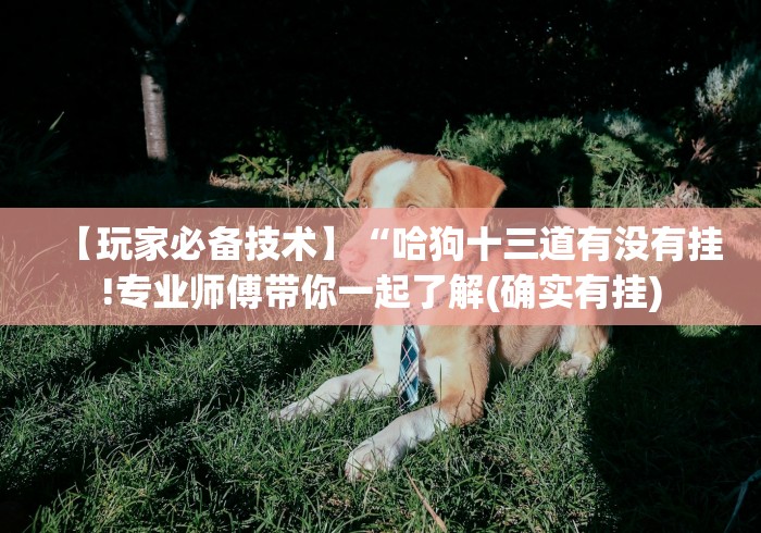 【玩家必备技术】“哈狗十三道有没有挂!专业师傅带你一起了解(确实有挂)