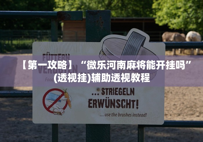 【第一攻略】“微乐河南麻将能开挂吗”(透视挂)辅助透视教程