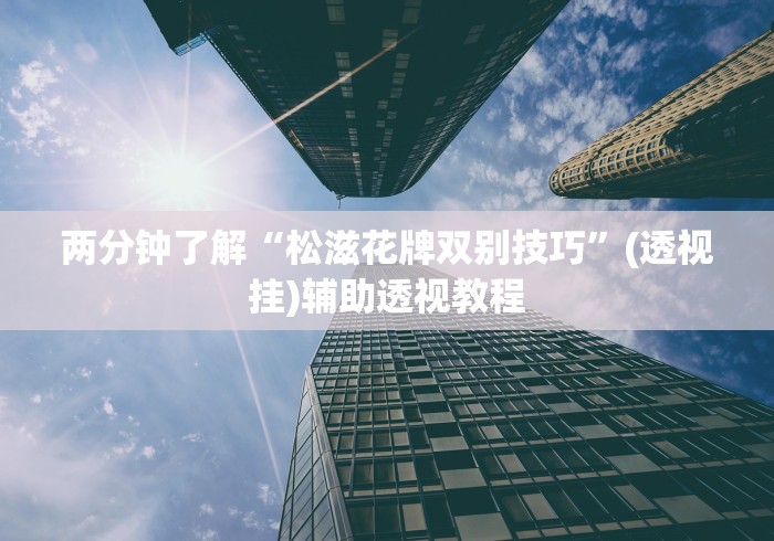 两分钟了解“松滋花牌双别技巧”(透视挂)辅助透视教程