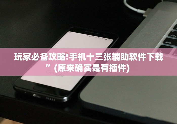 玩家必备攻略!手机十三张辅助软件下载”(原来确实是有插件) 
