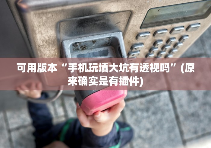 可用版本“手机玩填大坑有透视吗”(原来确实是有插件)