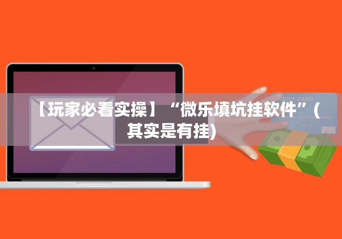 【玩家必看实操】“微乐填坑挂软件”(其实是有挂)