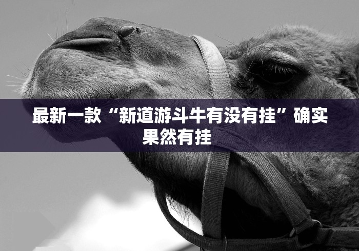最新一款“新道游斗牛有没有挂”确实果然有挂 