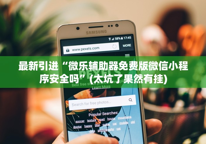 最新引进“微乐辅助器免费版微信小程序安全吗”(太坑了果然有挂)
