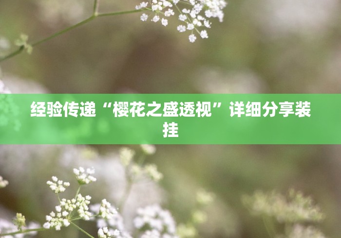 经验传递“樱花之盛透视”详细分享装挂