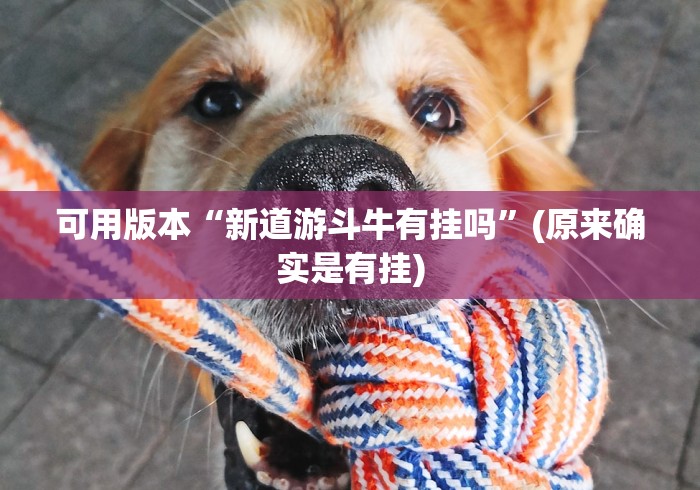 可用版本“新道游斗牛有挂吗”(原来确实是有挂)