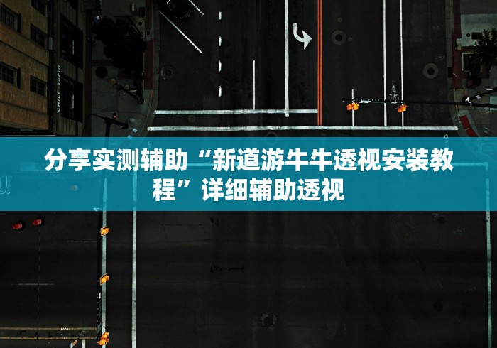 分享实测辅助“新道游牛牛透视安装教程”详细辅助透视