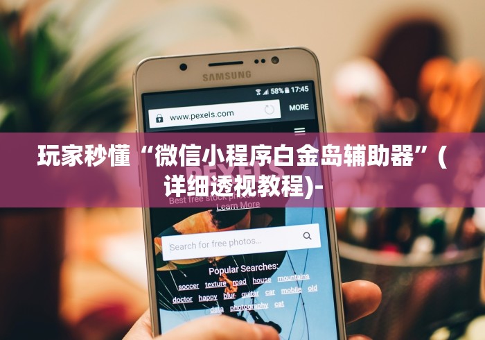 玩家秒懂“微信小程序白金岛辅助器”(详细透视教程)-