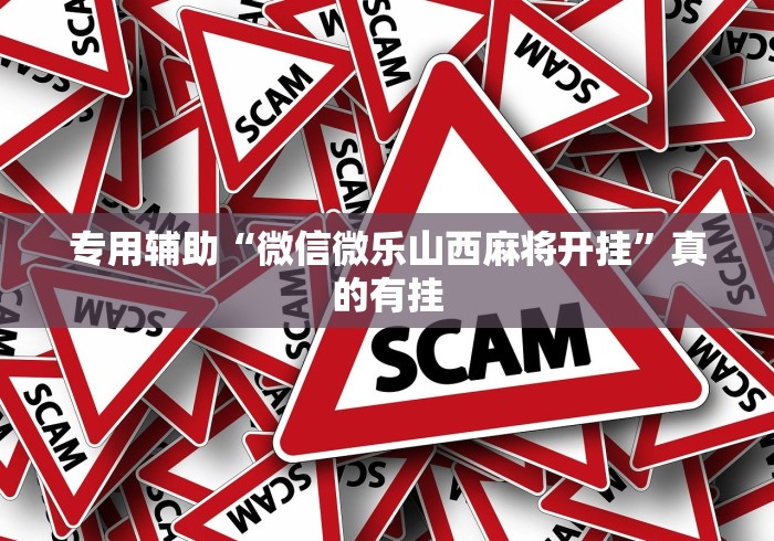 专用辅助“微信微乐山西麻将开挂”真的有挂