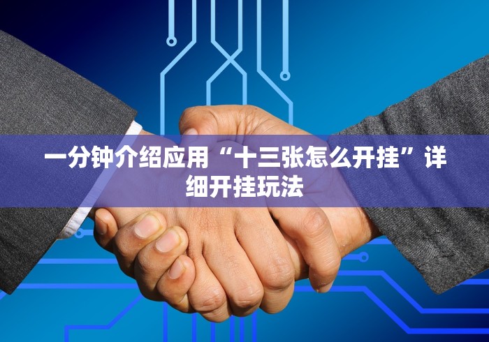 一分钟介绍应用“十三张怎么开挂”详细开挂玩法