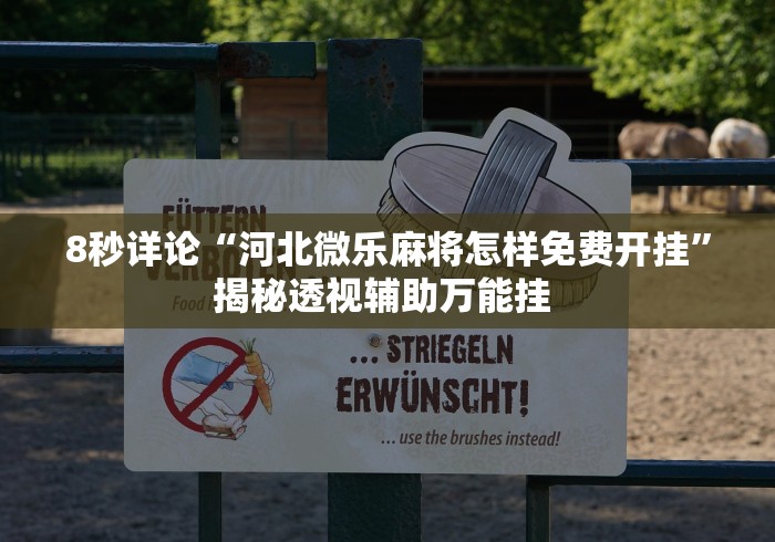 8秒详论“河北微乐麻将怎样免费开挂”揭秘透视辅助万能挂 
