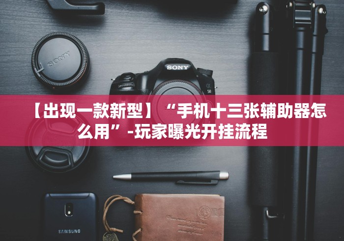 【出现一款新型】“手机十三张辅助器怎么用”-玩家曝光开挂流程