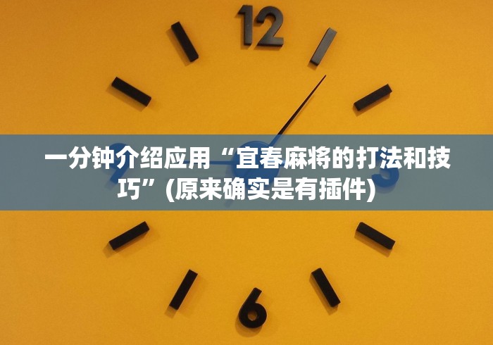 一分钟介绍应用“宜春麻将的打法和技巧”(原来确实是有插件)