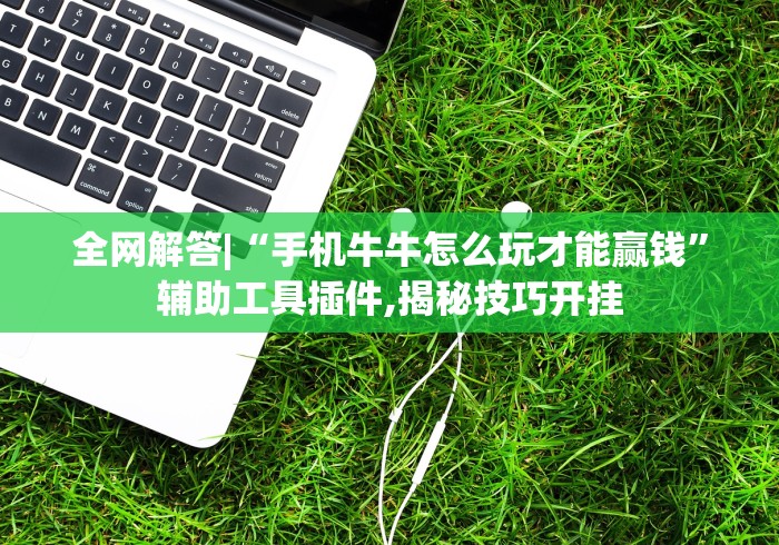全网解答|“手机牛牛怎么玩才能赢钱”辅助工具插件,揭秘技巧开挂