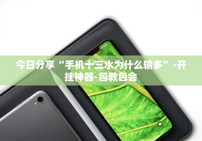今日分享“手机十三水为什么输多”-开挂神器-包教包会
