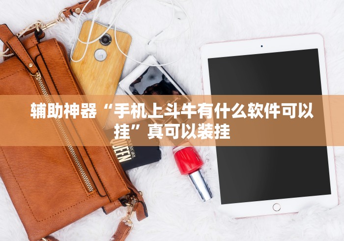 辅助神器“手机上斗牛有什么软件可以挂”真可以装挂