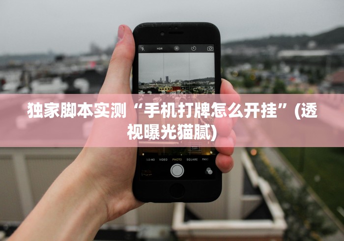 独家脚本实测“手机打牌怎么开挂”(透视曝光猫腻)