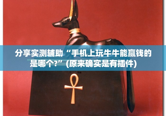 分享实测辅助“手机上玩牛牛能赢钱的是哪个?”(原来确实是有插件)