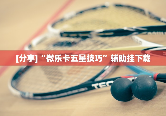 [分享]“微乐卡五星技巧”辅助挂下载