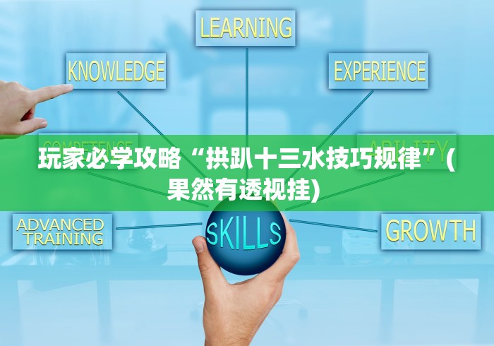 玩家必学攻略“拱趴十三水技巧规律”(果然有透视挂) 