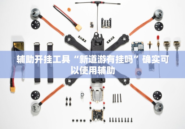 辅助开挂工具“新道游有挂吗”确实可以使用辅助