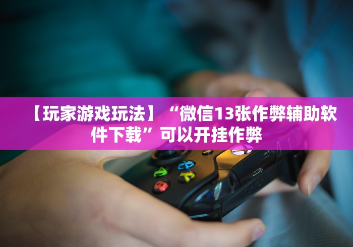【玩家游戏玩法】“微信13张作弊辅助软件下载”可以开挂作弊
