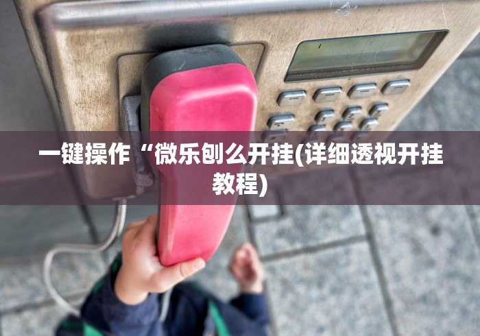 一键操作“微乐刨么开挂(详细透视开挂教程) 一键操作“微乐刨么开挂(详细透视开挂教程)