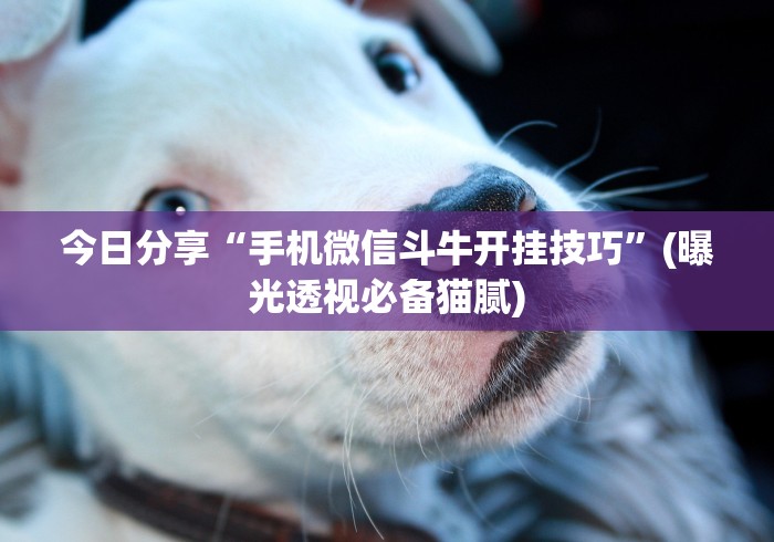 今日分享“手机微信斗牛开挂技巧”(曝光透视必备猫腻)