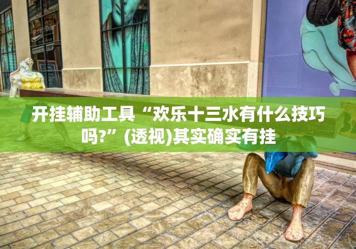 开挂辅助工具“欢乐十三水有什么技巧吗?	”(透视)其实确实有挂