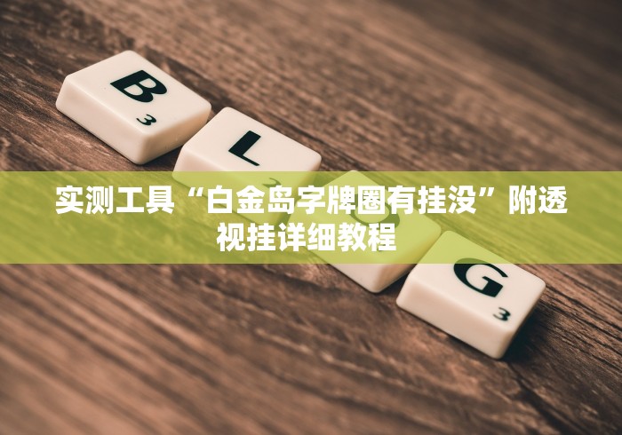 实测工具“白金岛字牌圈有挂没”附透视挂详细教程 