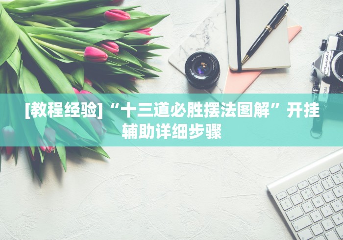 [教程经验]“十三道必胜摆法图解”开挂辅助详细步骤