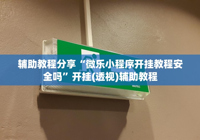 辅助教程分享“微乐小程序开挂教程安全吗	”开挂(透视)辅助教程