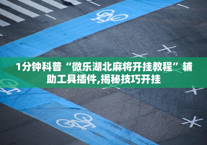 1分钟科普“微乐湖北麻将开挂教程”辅助工具插件,揭秘技巧开挂