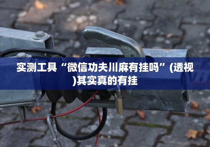 实测工具“微信功夫川麻有挂吗	”(透视)其实真的有挂