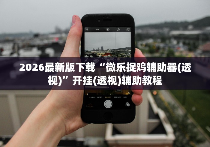 2026最新版下载“微乐捉鸡辅助器(透视)”开挂(透视)辅助教程
