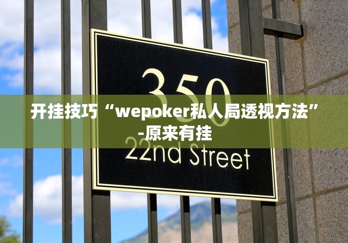 开挂技巧“wepoker私人局透视方法”-原来有挂