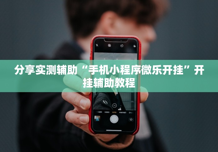 分享实测辅助“手机小程序微乐开挂	”开挂辅助教程