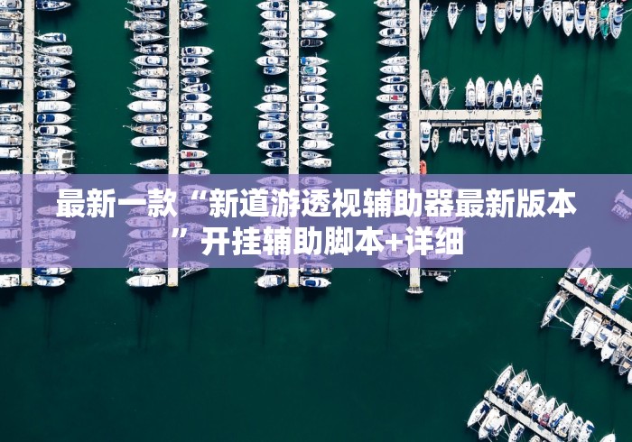 最新一款“新道游透视辅助器最新版本”开挂辅助脚本+详细