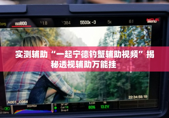 实测辅助“一起宁德钓蟹辅助视频”揭秘透视辅助万能挂 