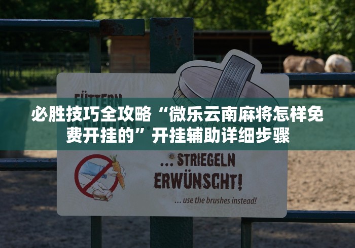 必胜技巧全攻略“微乐云南麻将怎样免费开挂的”开挂辅助详细步骤